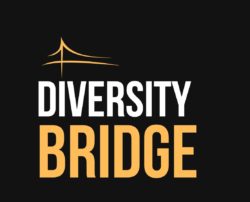 Diversity Bridge SCIO logo